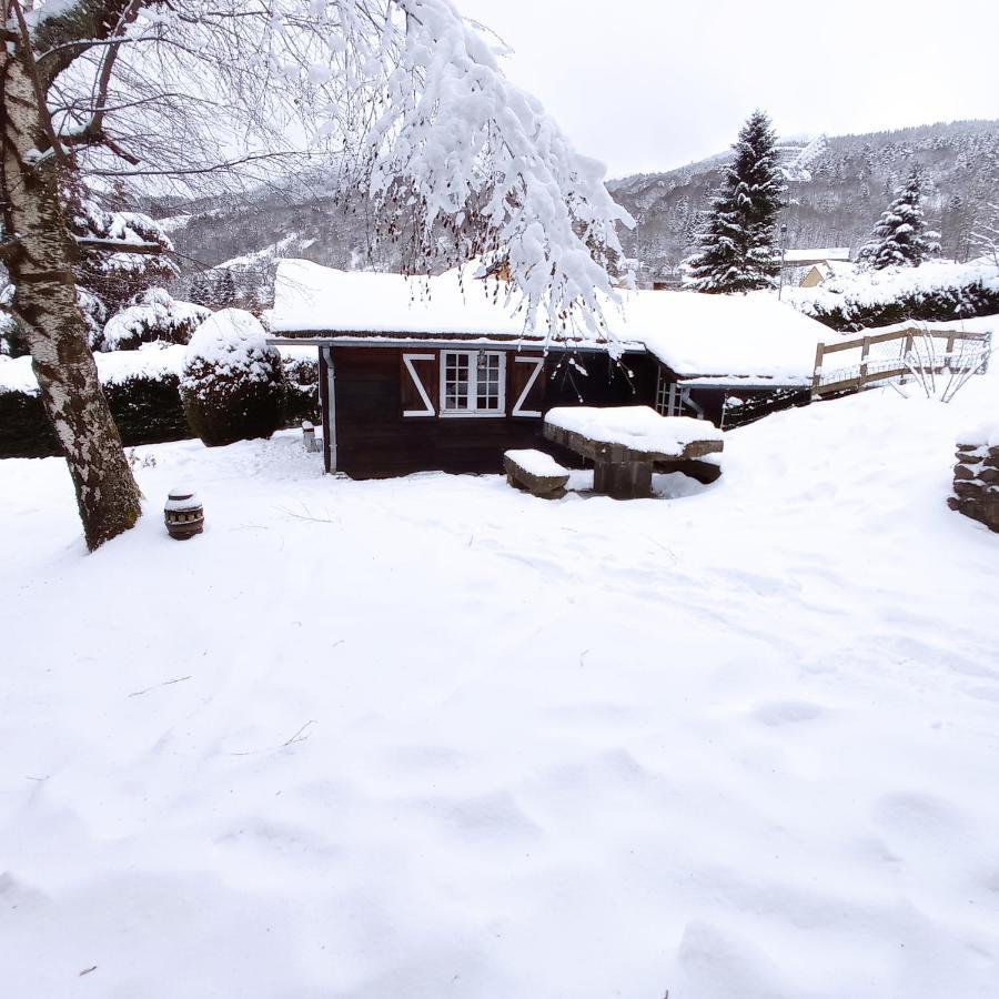 Chalet Des Cascades Мон-Дор Екстер'єр фото