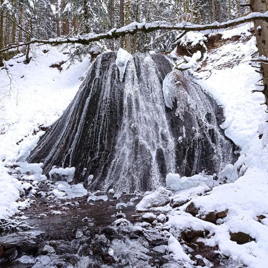 Chalet Des Cascades Мон-Дор Екстер'єр фото